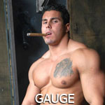 Gauge